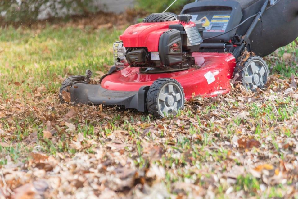 A red lawn mower mulches leaves in a grassy yard.