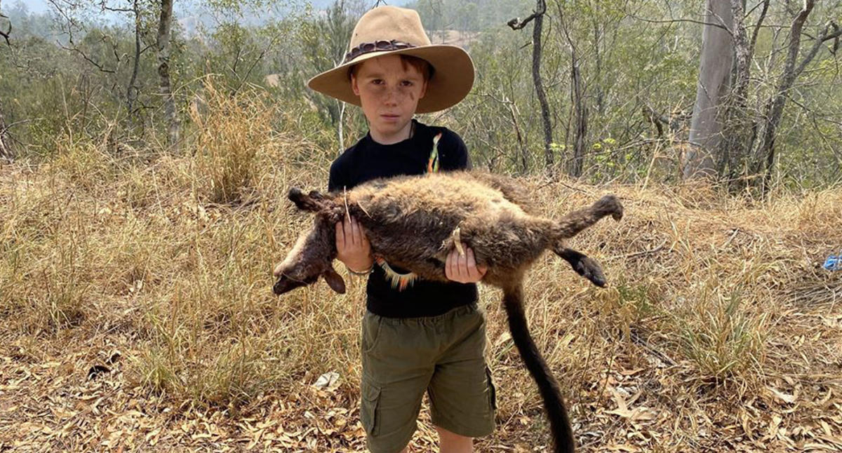 løfte Skov for ikke at nævne Tim Faulkner's son shown in upsetting wildlife photo