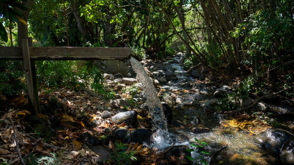 A rushing canal is seen on Hokuao Pelligrino's family farm in Wailuku on Maui on August 20, 2023. - Evelio Contreras/CNN