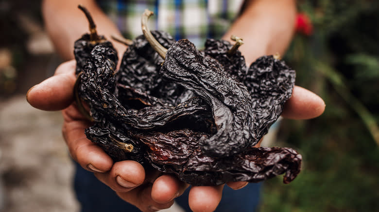 handful of ancho chilis