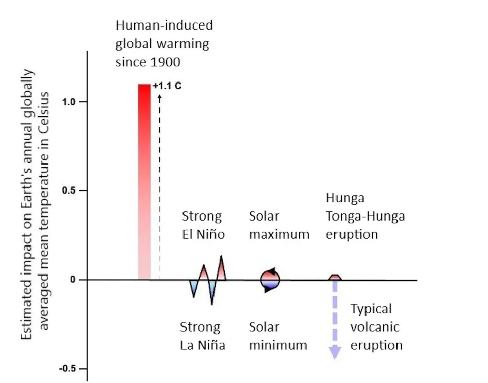 An illustration by the author shows the typical relative impact on temperature rise driven by human activities compared with natural forces. El Niño/La Niña and solar energy cycles fluctuate. The Hunga Tonga-Hunga Ha’apai volcano’s underwater eruption exacerbated global warming. Michael Wysession