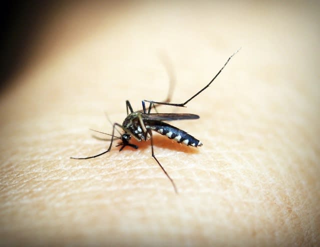 新冠疫情使得非洲瘧疾疫情處於危險邊緣。（網路截圖）