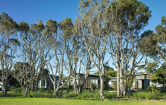 Element's private cabins and villas are surrounded by natural bushland. Photo: Supplied