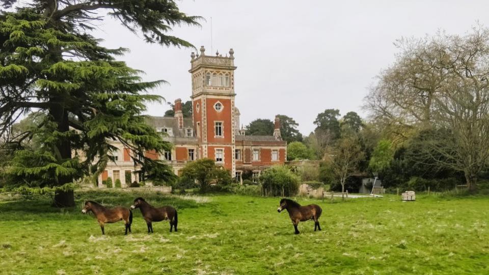 Eastern Daily Press: Exmoor ponies in front of Somerleyton Hall