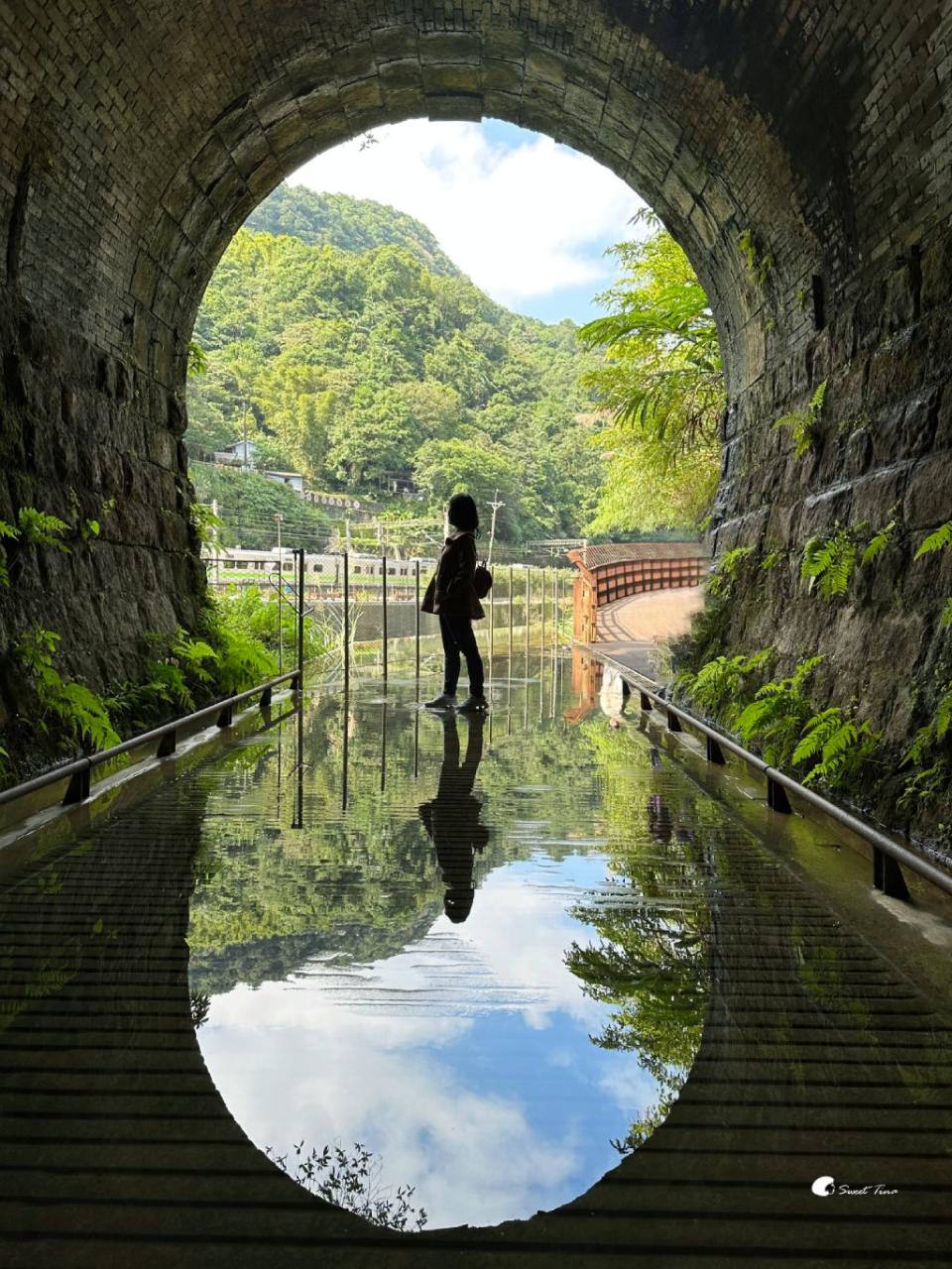 新北瑞芳｜三貂嶺生態友善隧道