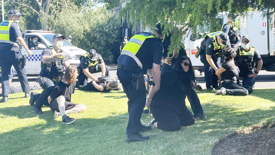 Protesters, pictured here being apprehended by police at the Melbourne Cup.