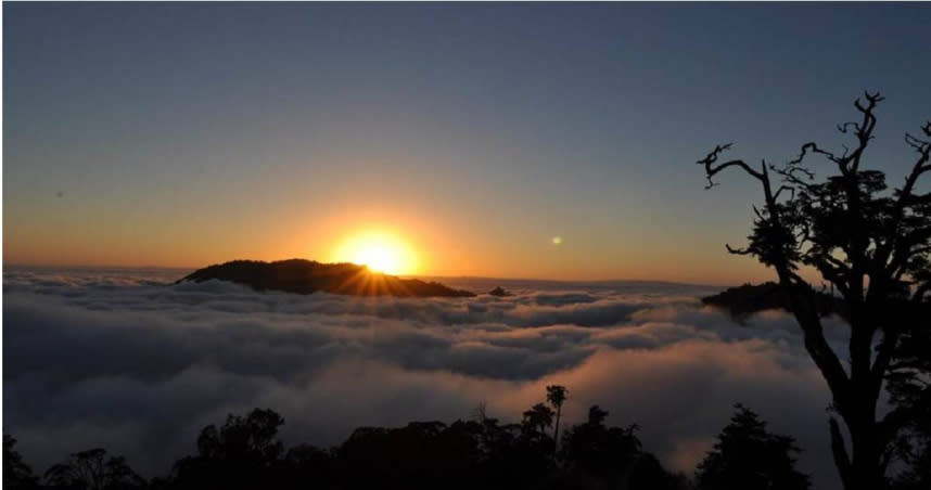 位於苗栗山域的大雪山林道230線發生墜谷意外，圖為大雪山秋季常見波瀾壯闊的雲海。（東勢林管處提供）