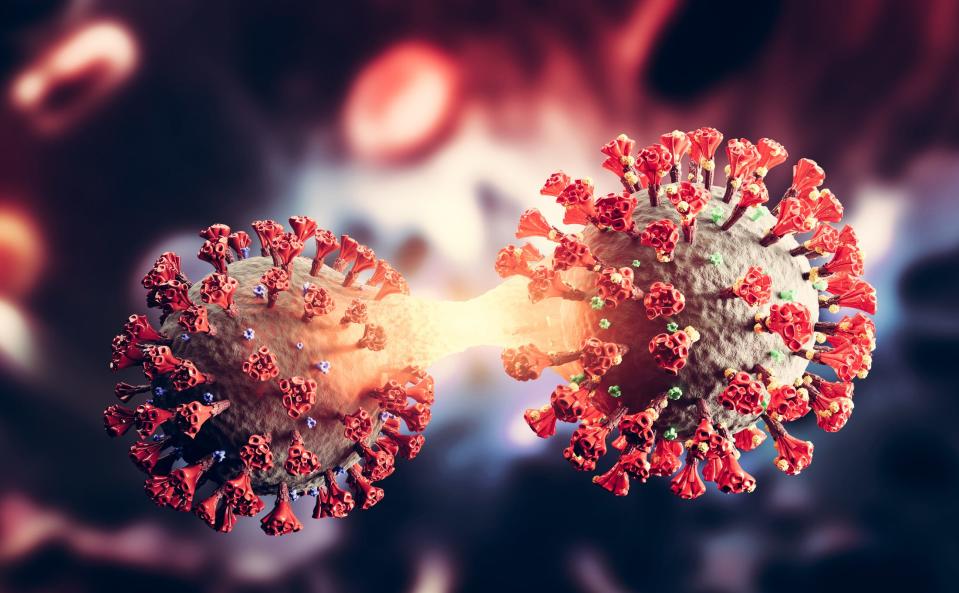 The coronavirus COVID-19 new variant mutation.