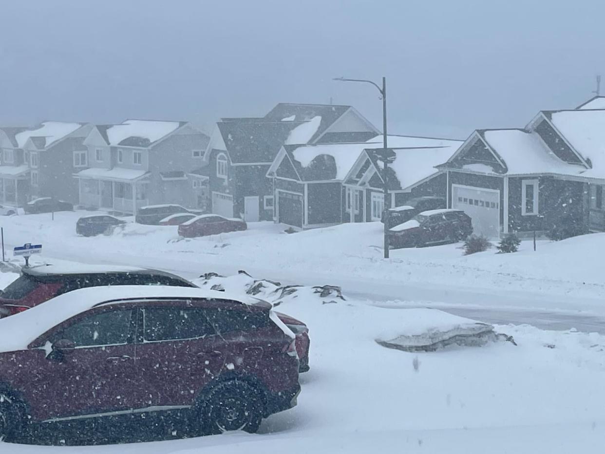 Schools, government offices and businesses are closed throughout parts of Newfoundland in the midst of a weather alert. (Daniel MacEachern/CBC - image credit)