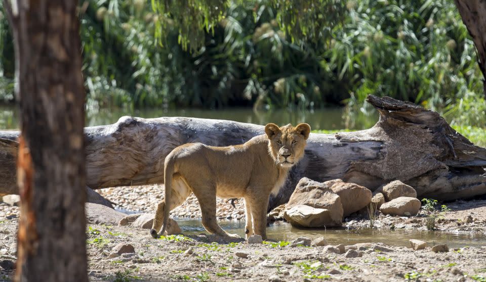 The precinct cost a whopping $9 million. Photo: Be