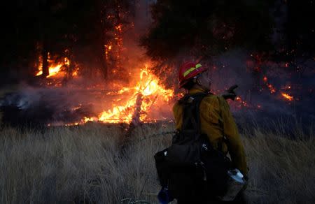 Firefighters battle a wildfire near Santa Rosa, California, U.S., October 14, 2017. REUTERS/Jim Urquhart