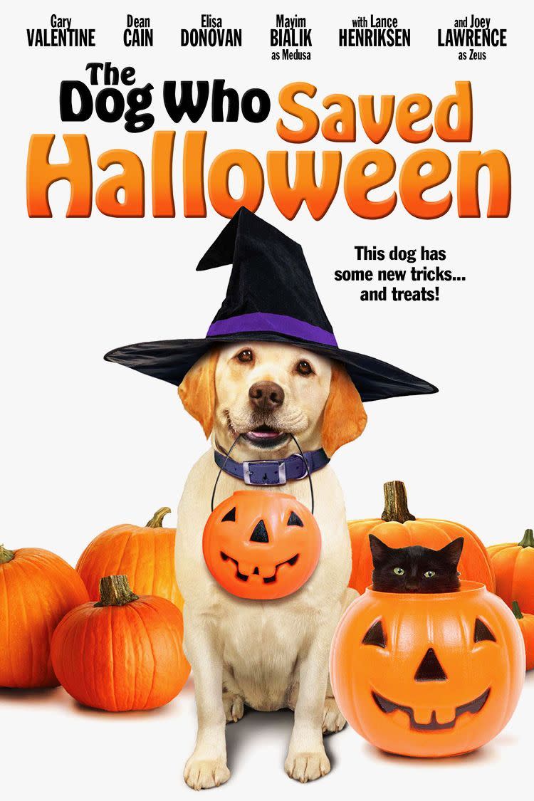 The Dog Who Saved Halloween