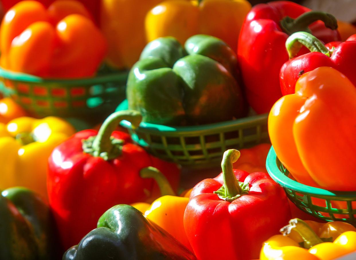 Sweet bell peppers, green, yellow and red, are for sale at the West Palm Beach Green Market.