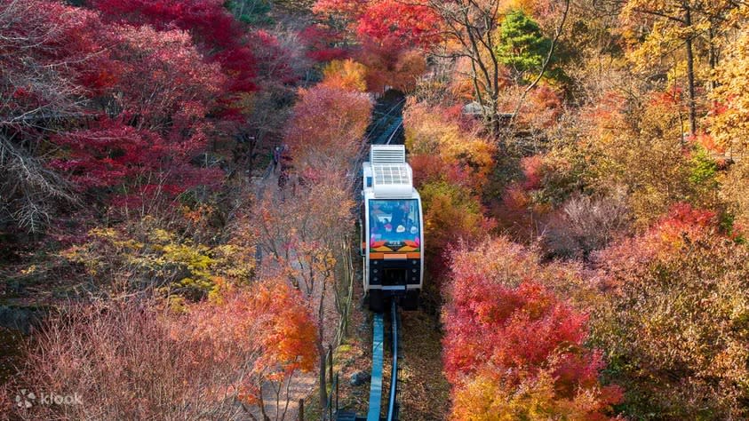 Hwadam Forest Healing Package Day Tour from Seoul (EG Tour). (Photo: Klook SG)