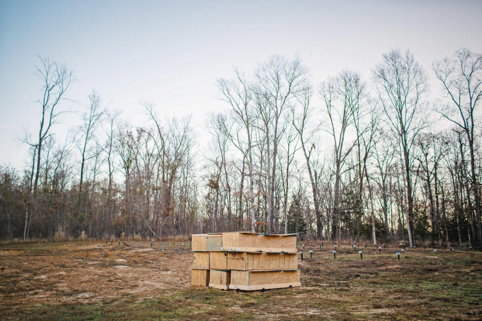 Some families have paid to have their loved ones exhumed from the pauper's field. (Ashleigh Coleman for NBC News)