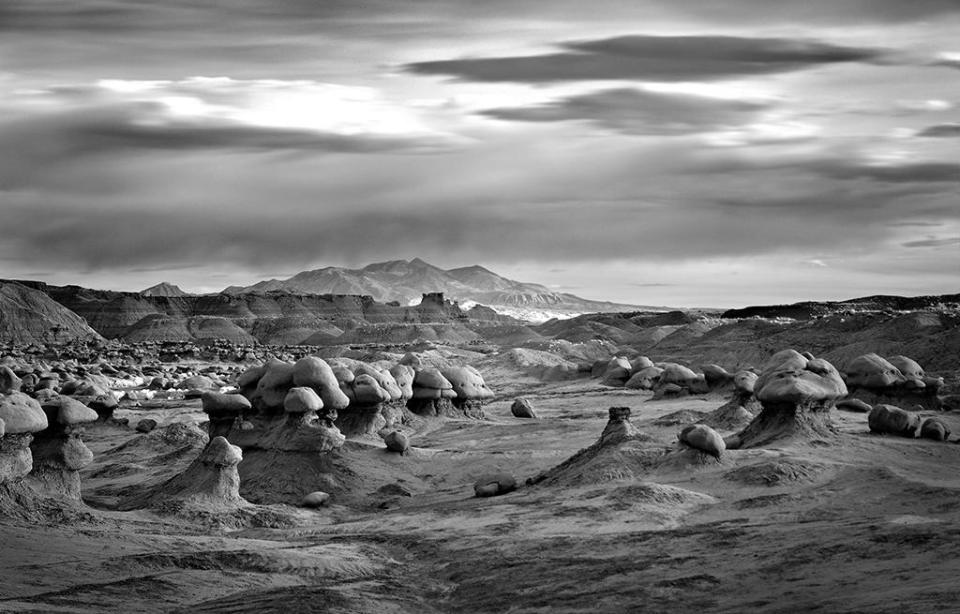 Mitch Dobrowner