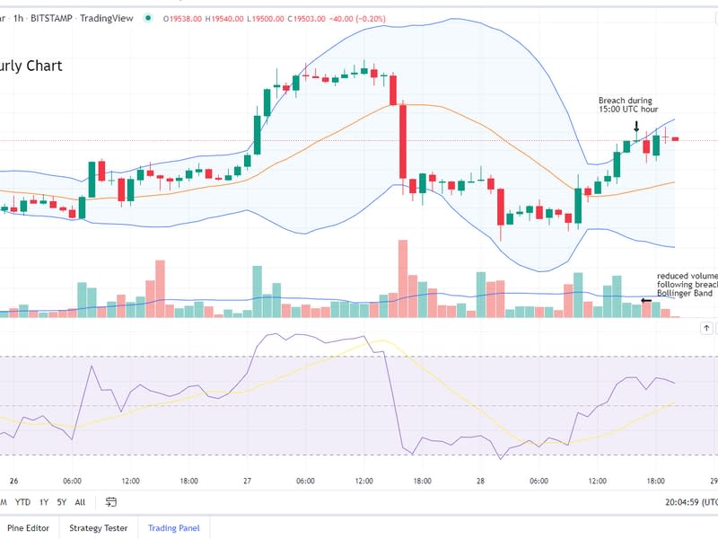 Bitcoin-U.S. Dollar Hourly Chart (Glenn Williams Jr/TradingView)