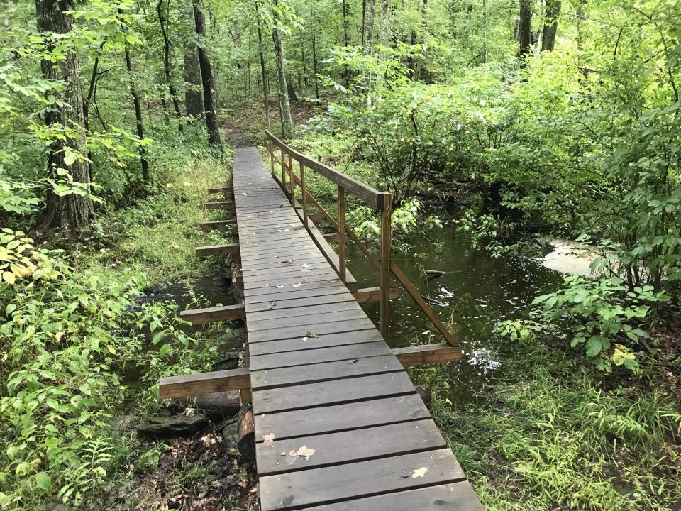 A bog bridge crosses a stream and wetlands that have been flooded by beaver activity.