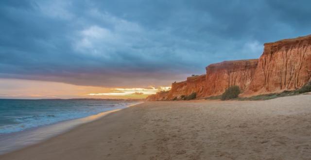 Tienes planes de playa? Estas 5 tendencias te harán lucir perfecta -  Oceandrive