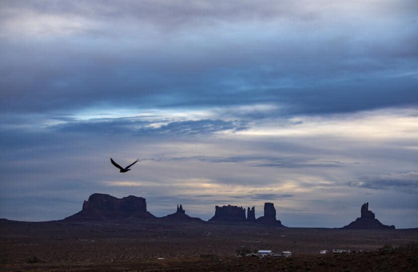 Oljato-Monument Valley, UT - December 12: A bird takes flight over Monument Valley in the Navajo Nation on Tuesday, Dec. 12, 2023 in Oljato-Monument Valley, UT. (Brian van der Brug / Los Angeles Times)