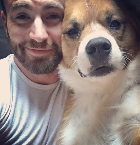 Chris Evans/Instagram Chris Evans and dog Dodger