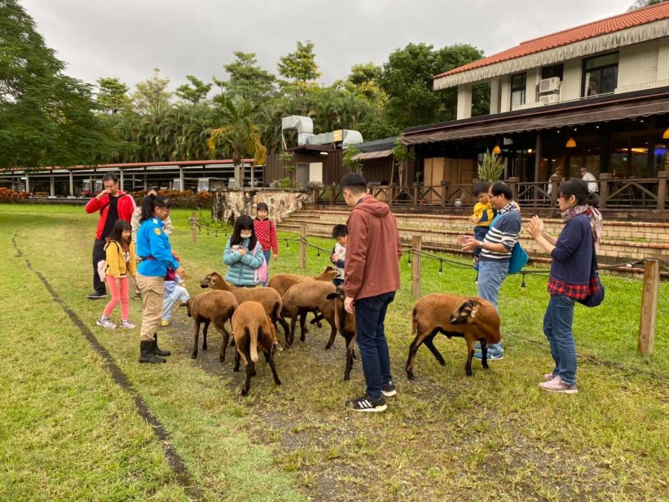 牛轉乾坤遊牧場!全台4大歐風牧場擠牛奶、餵牛寶寶喝ㄋㄟㄋㄟ