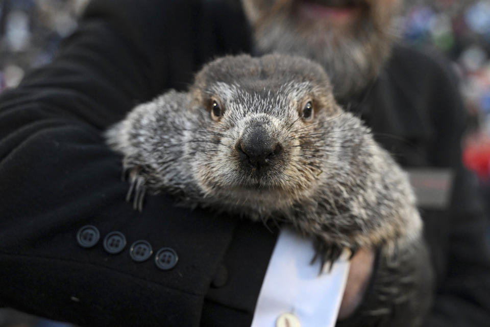 Groundhog day (Barry Reeger / AP)