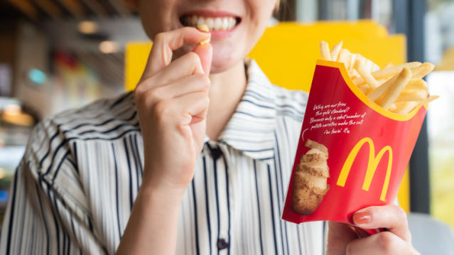 Fry-Holding Car Accessories : Fries on the Fly