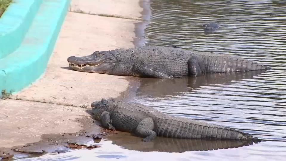 After weeks of repairs, the park is back open to the public.