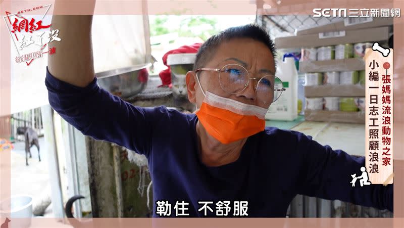 張媽媽表示有飼主惡意遺棄把晶片挖掉看了很不忍。（圖／社群中心提供）