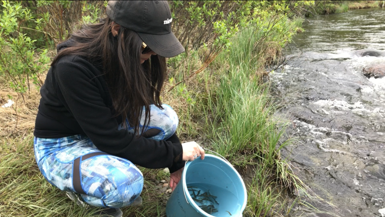 Recreational chinook salmon fishing restricted on most Yukon rivers