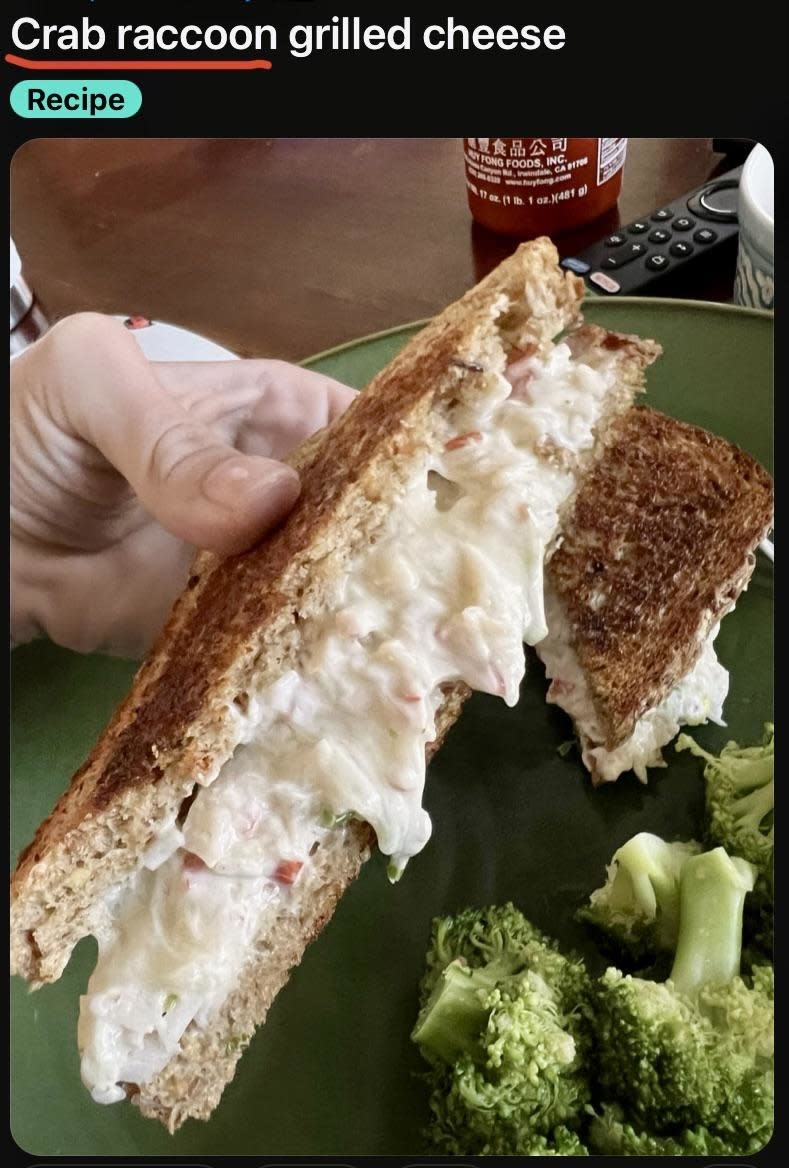 A hand holds a grilled cheese sandwich with a creamy crab filling on a green plate, accompanied by broccoli. The scene is labeled "Crab raccoon grilled cheese."