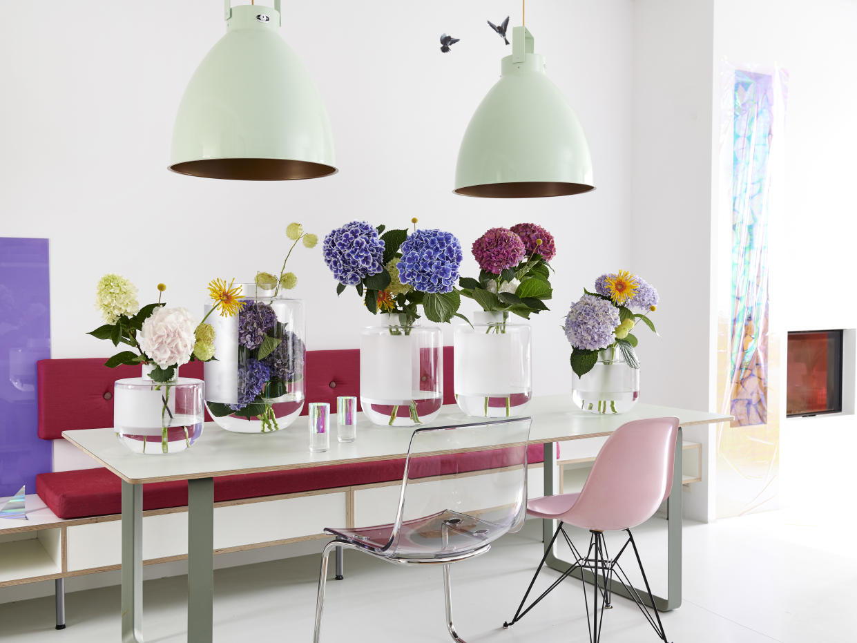  Hydrangeas in vases on a table. 