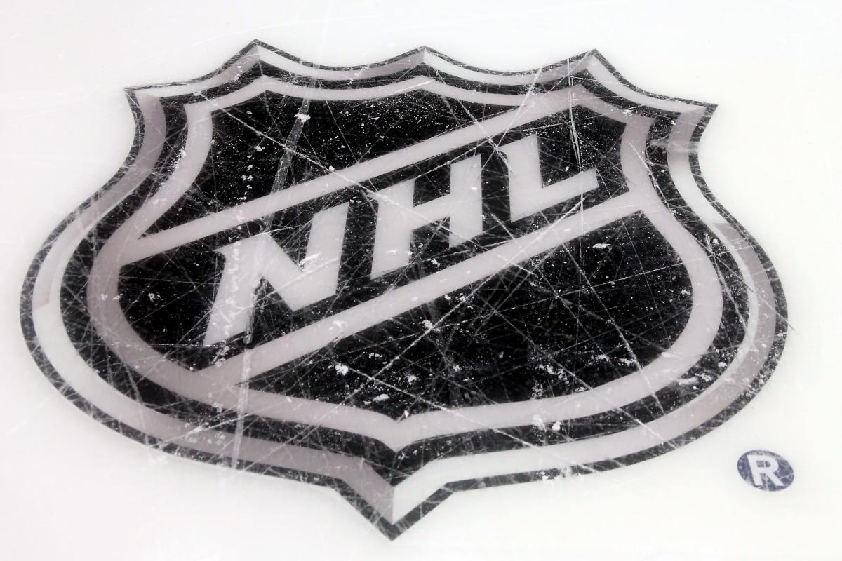 NHL Official National Hockey League Shield Logo Large Patch Emblem Stanley  Cup