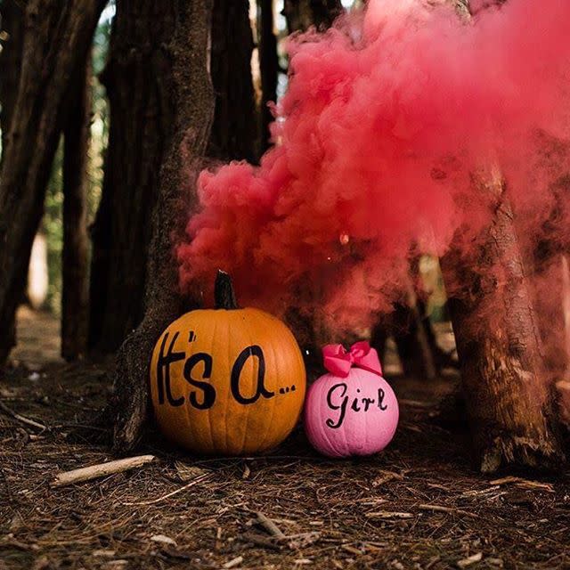 A Pink Bow on a Pumpkin Stem