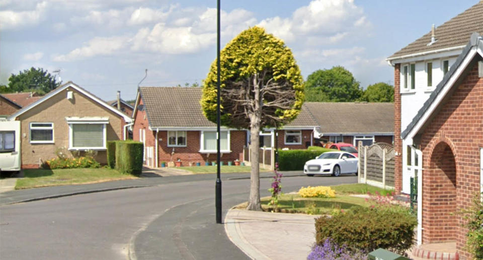 The side of the tree which had half cut off is still maintained, a neighbour says. Source: Google Maps