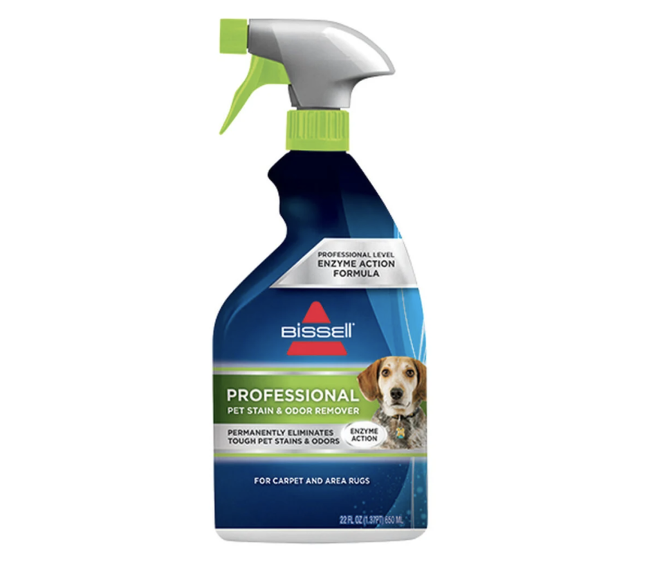 1) Professional Pet Stain and Odor Removing Formula