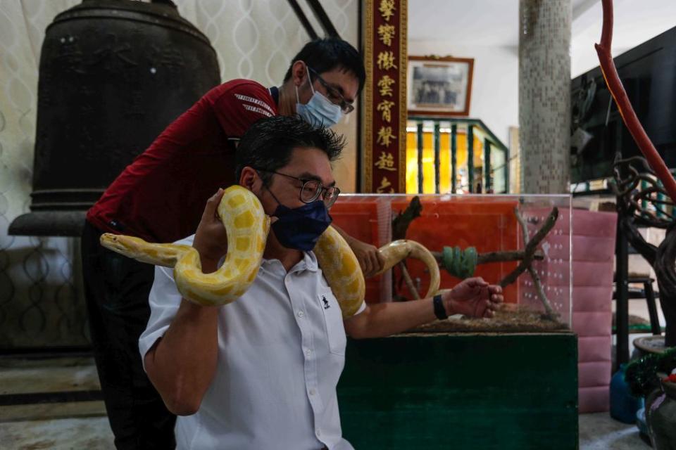 Bayan Baru MP Sim Tze Tzin handles a snake during a visit to the Snake Temple in Bayan Baru, Penang October 15, 2021. ― Picture by Sayuti Zainudin