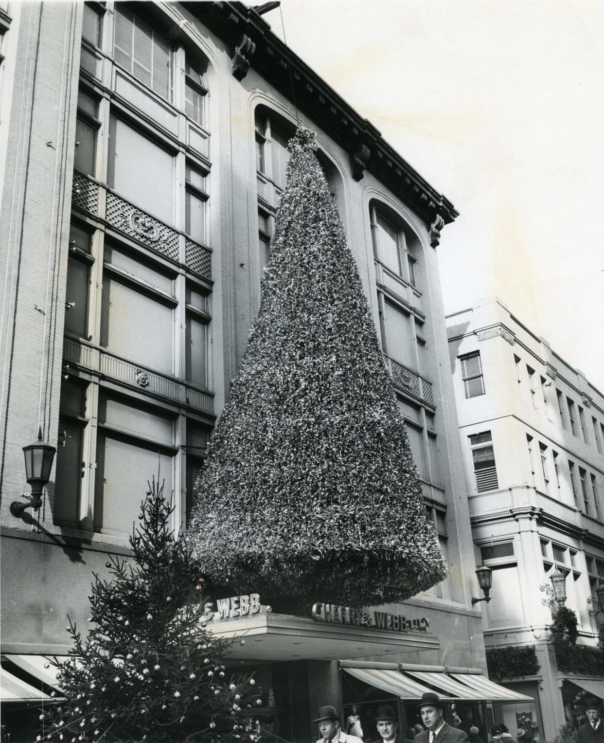 Cherry & Webb first erected its landmark, four-story, gold and silver tree in 1951, then abandoned the effort in 1960 when traffic on Westminster Street made the work difficult. In 1965, with Westminster Street a pedestrian mall, the tradition was revived.