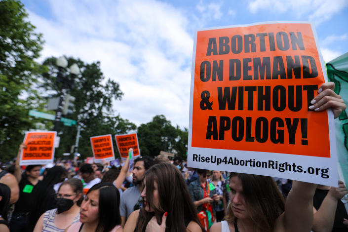 Demonstrators in Washington, D.C.