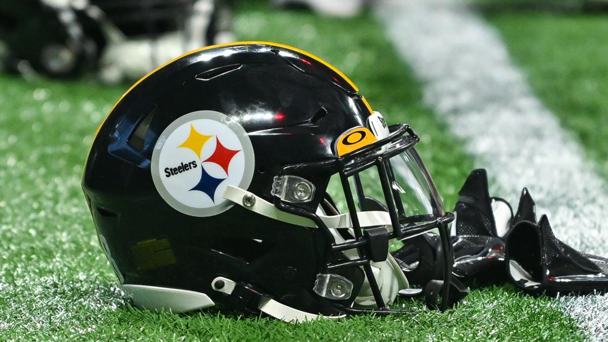 Steelers waive WR Dez Fitzpatrick - NBC Sports