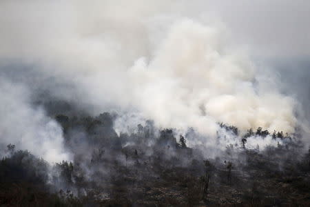 An aerial view of a burning forest at Ogan Komering Ulu area in Indonesia's south Sumatra province September 10, 2015. REUTERS/Beawiharta