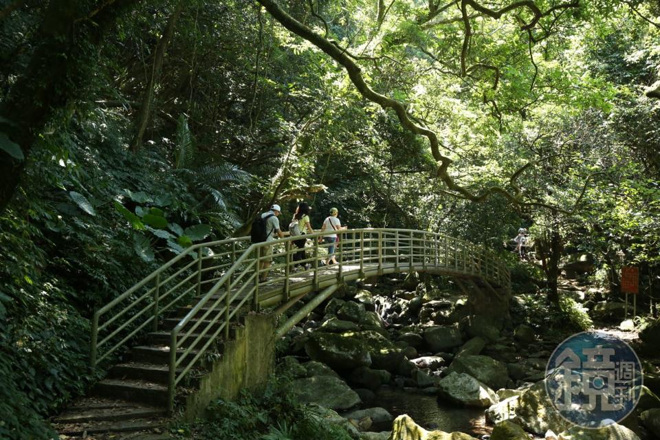 青山瀑布步道全程幾乎都是林蔭庇護，免曝曬太陽，特別適合怕曬的女性。