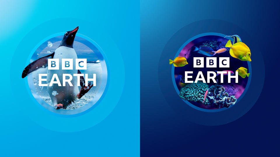 BBC Earth logo redesign featuring a penguin and a school of colourful fish