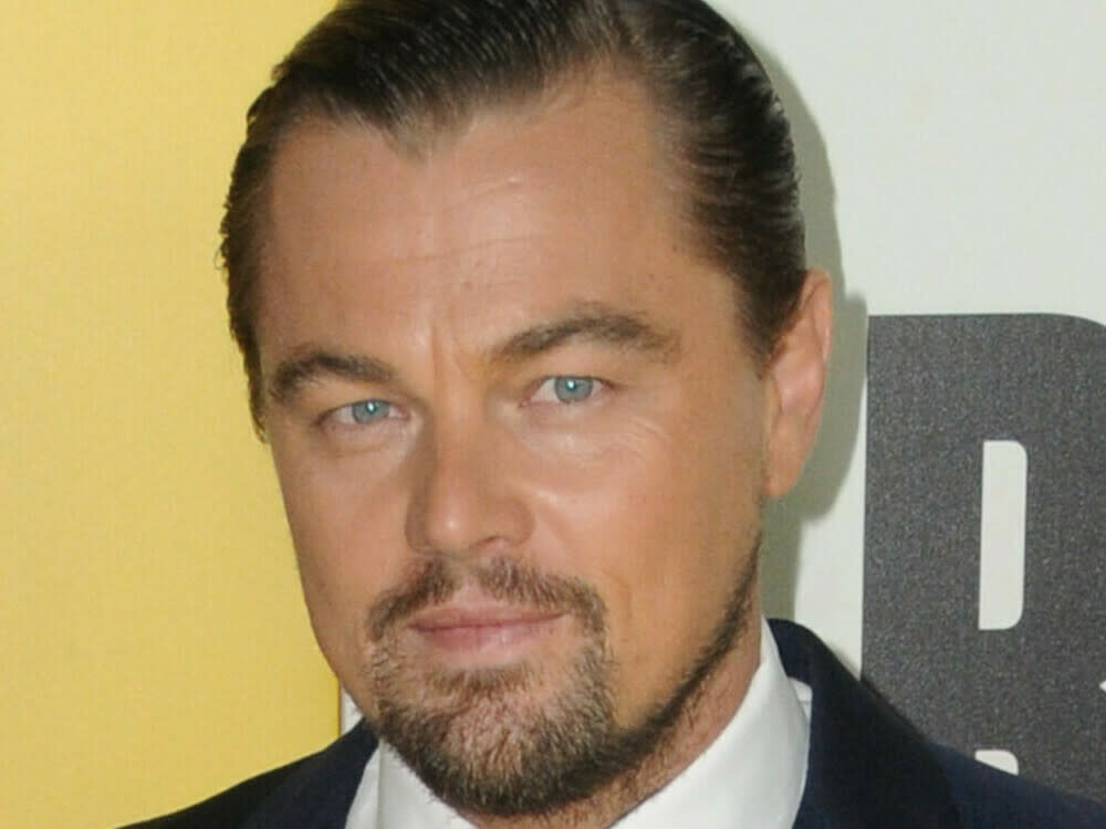 Leonardo DiCaprio auf dem roten Teppich (Bild: Birdie Thompson/AdMedia/ImageCollect)