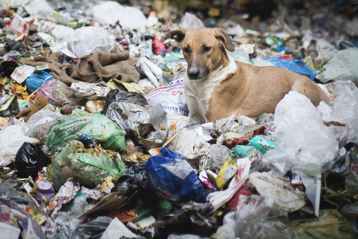 India garbage