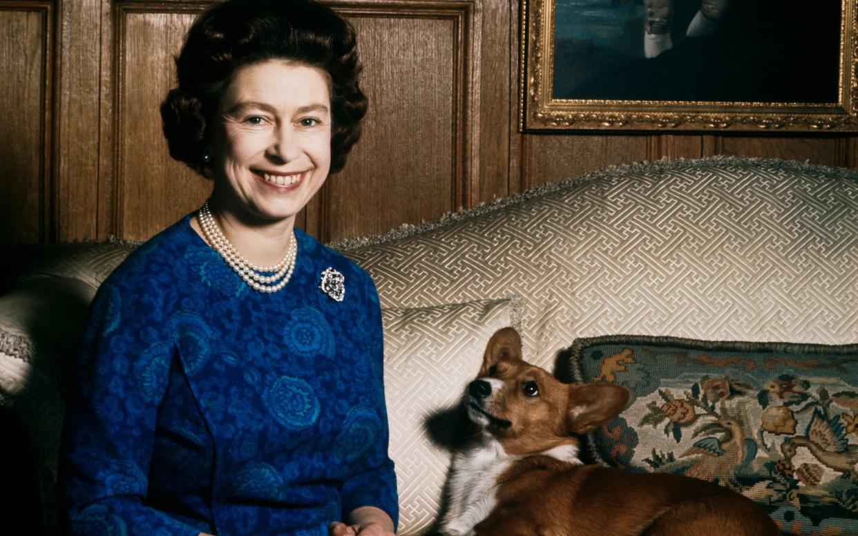 The Queen, pictured with one of her corgis at Sandringham in 1970 - Fox Photos/Hulton Archive/Getty Images