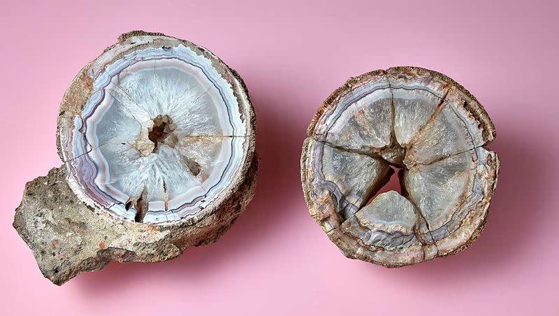 A mineral specimen that has been in the collection at the Natural History Museum of London for 140 years is now thought to have formed inside a dinosaur egg.