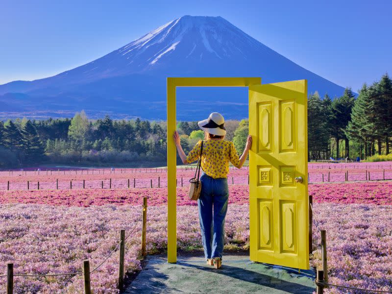 日本旅遊｜富士芝櫻祭4月開催 春天富士五湖絕景 必影富士山+粉紅芝櫻花海