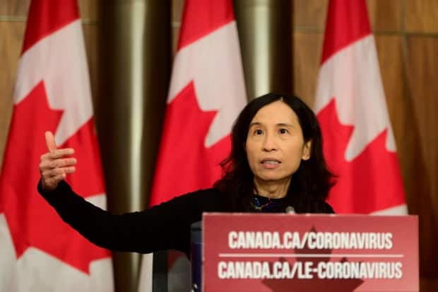 An update to Public Health Agency of Canada guidelines on the risk of aerosol transmission came after Dr. Theresa Tam, the country's chief public health officer, recommended the use of three-layer non-medical masks in November to prevent the spread of COVID-19.